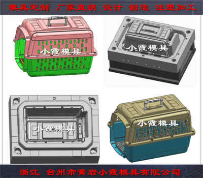 臺州注塑模具 空運箱塑料模具