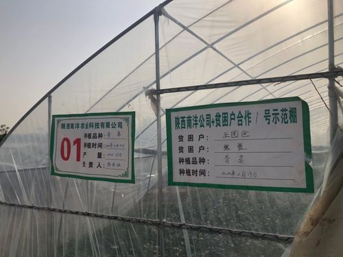 三方協(xié)同加碼，以技術(shù)轉(zhuǎn)讓與咨詢(xún)助推脫貧攻堅(jiān)